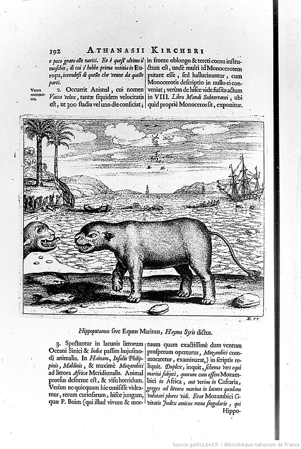 1667 hippo chinoisIllustrations_de_China_monumentis_qua_Kircher_Athanasius_btv1b20000389.jpeg