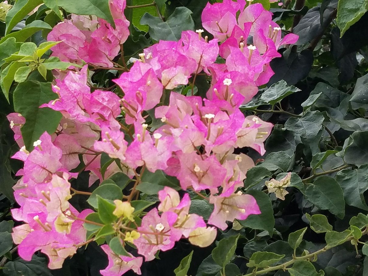 20180308_165604 (2).jpg