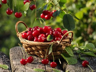 cherries-3_credit-shutterstock.jpg