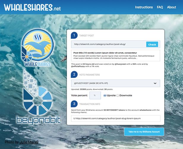 Whaleshares-net.jpg