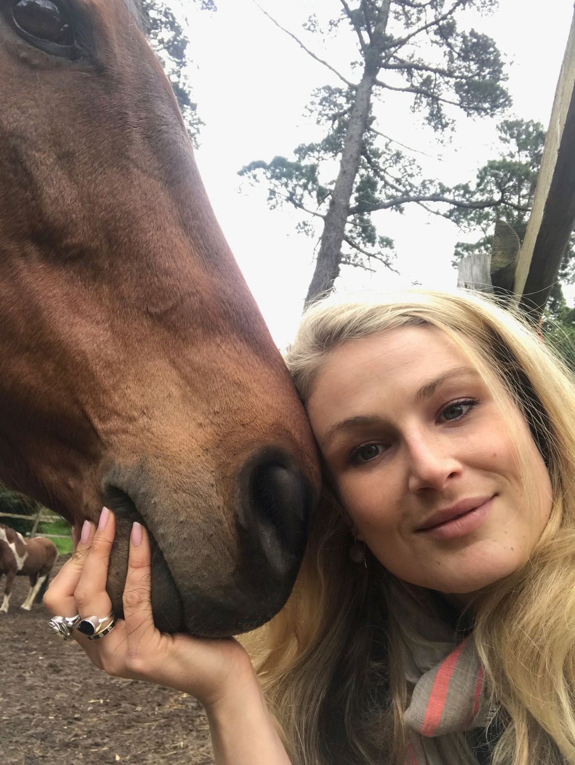 sky and i head on nose.JPG