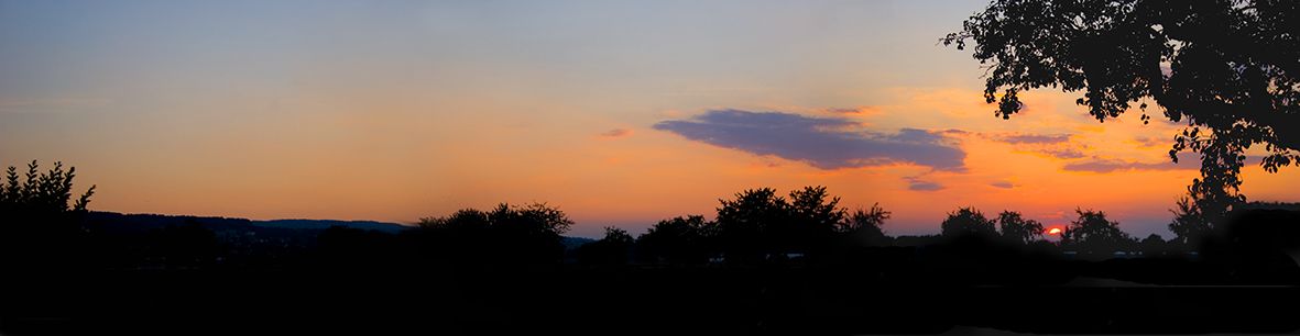 _MG_4129.jpg