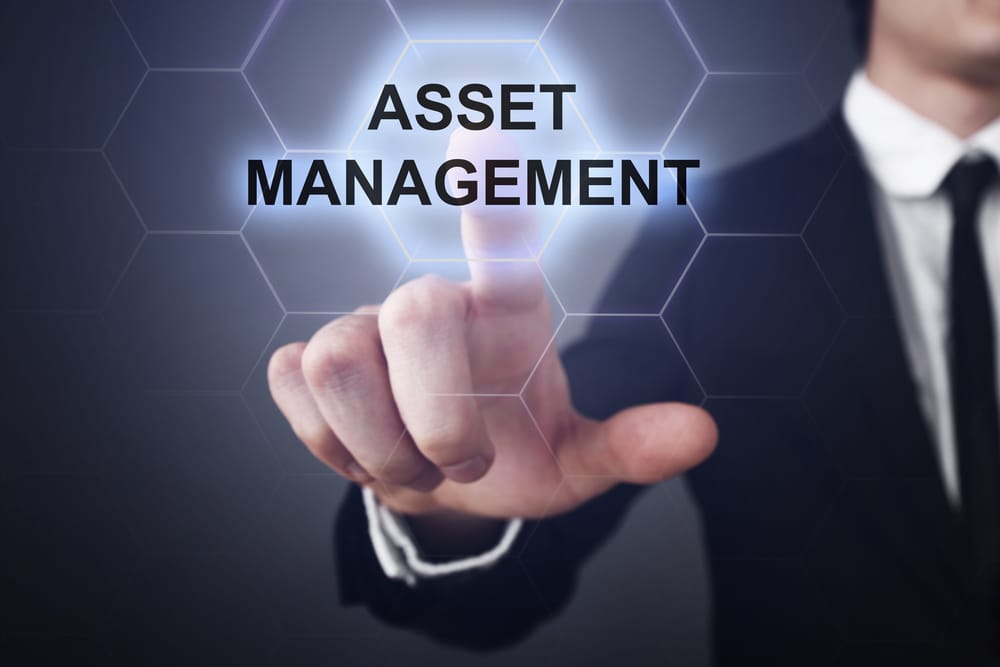 asset_management-1.jpg