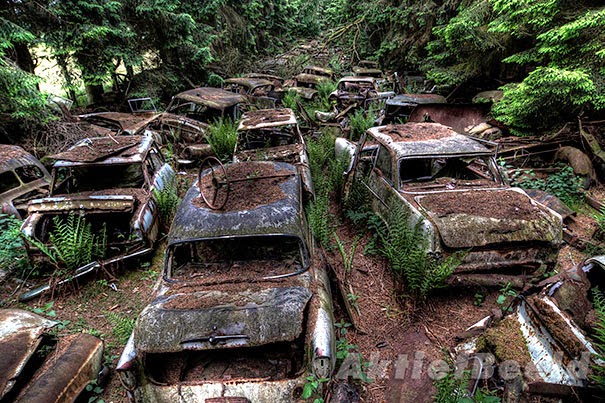 chatillon-car-graveyard-abandoned-cars-cemetery-belgium-10.jpg