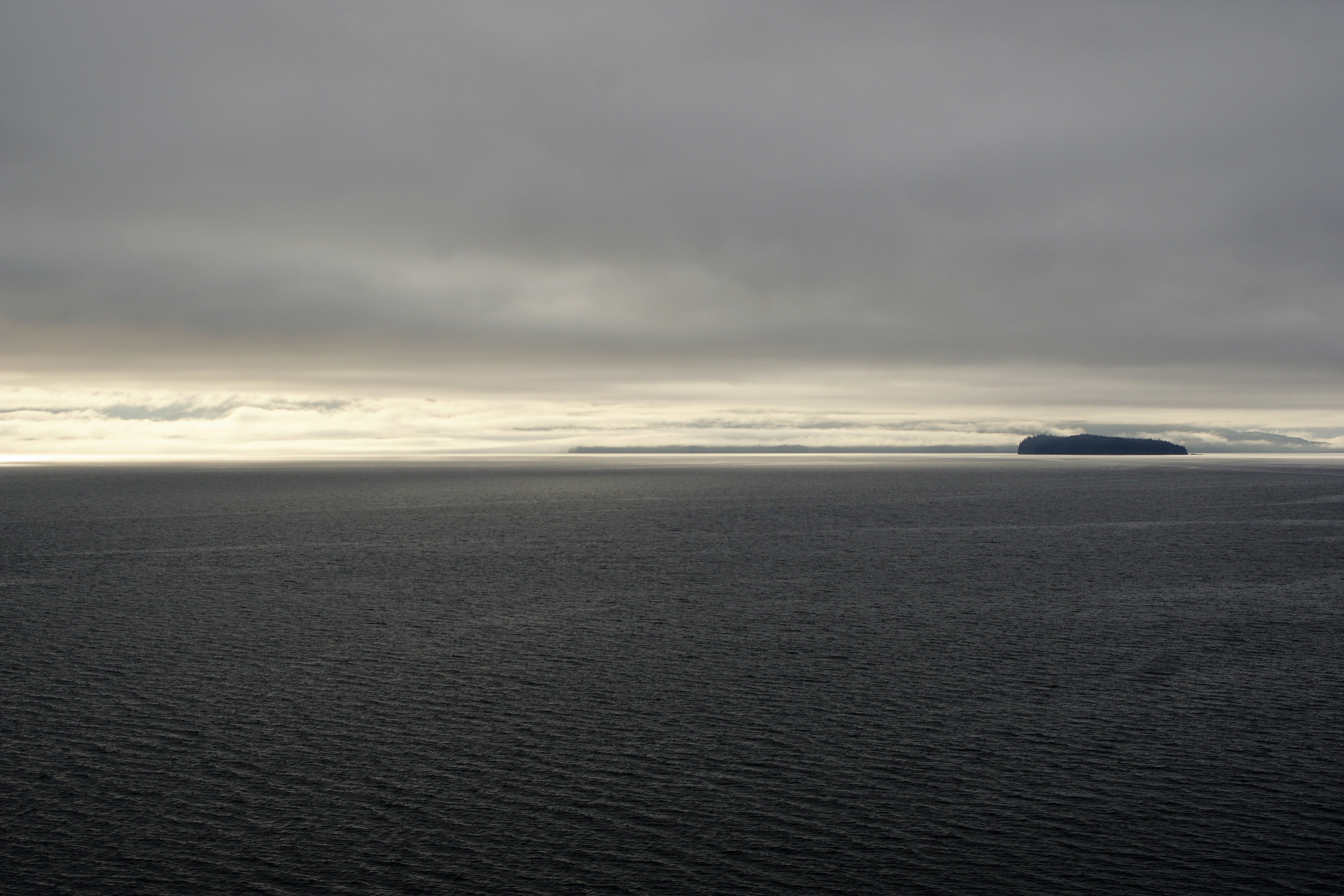 DSC02984.jpg