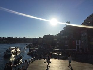 IMG_1683.JPG