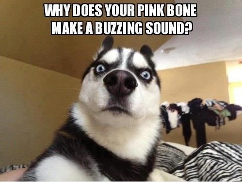 whythebuzzing.jpg