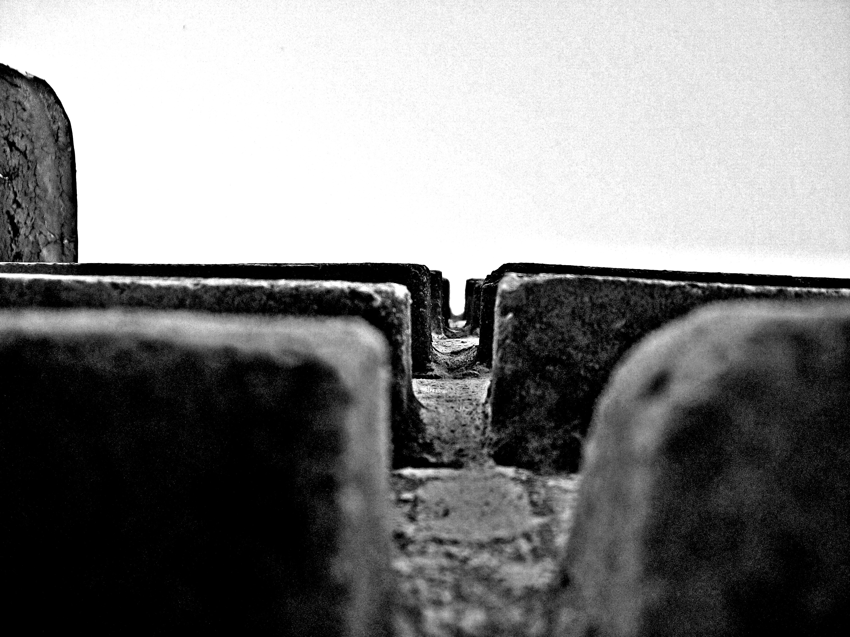 100_4530 steemit.jpg