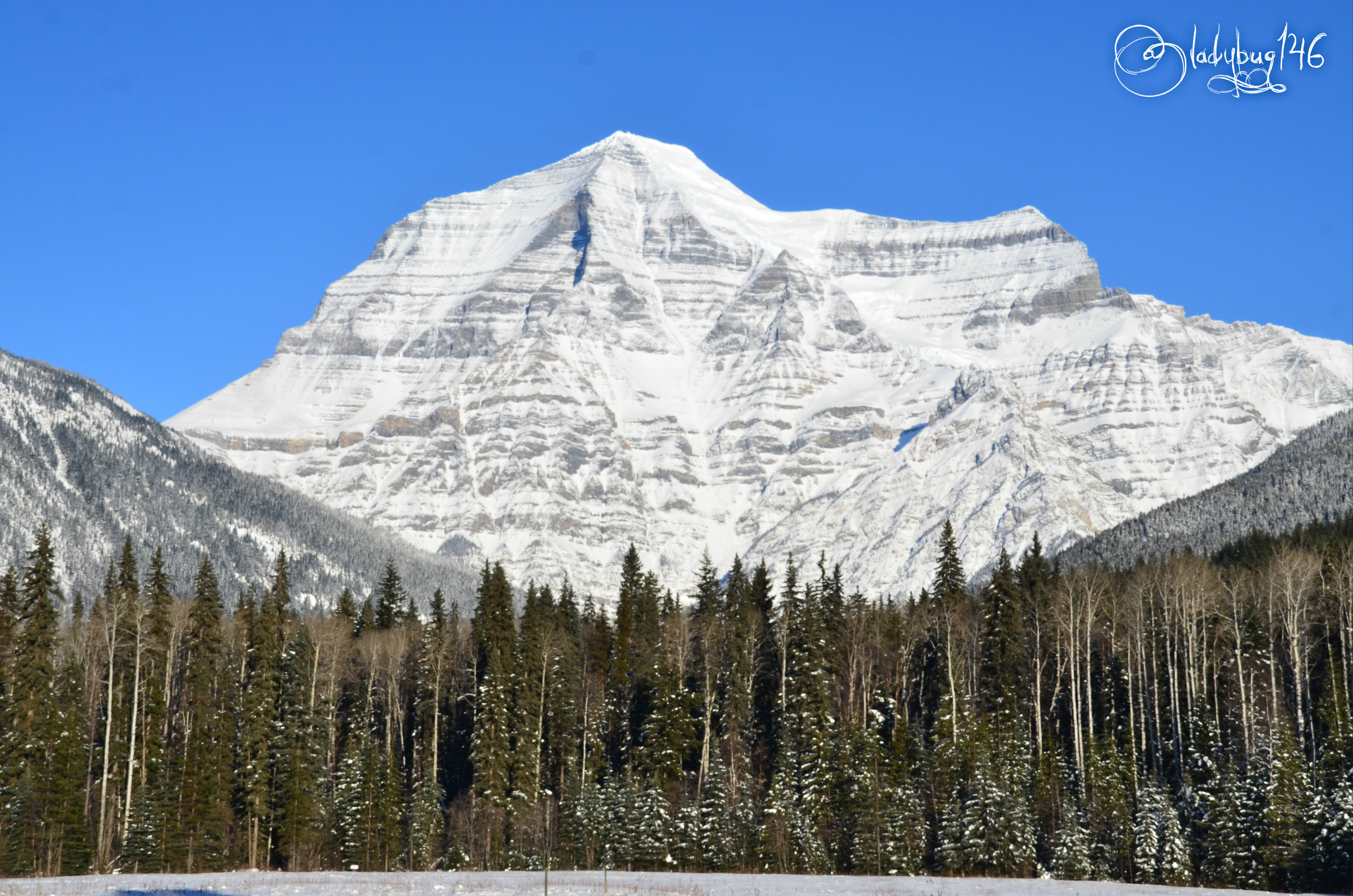 mount robson4.jpg