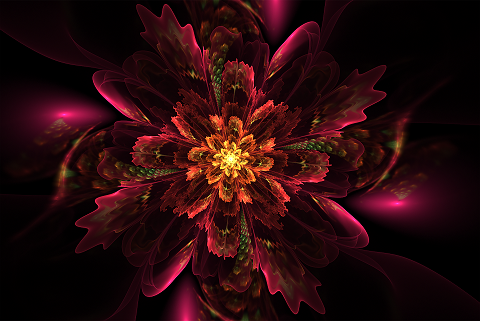 floral-2666645_1920(sm).png