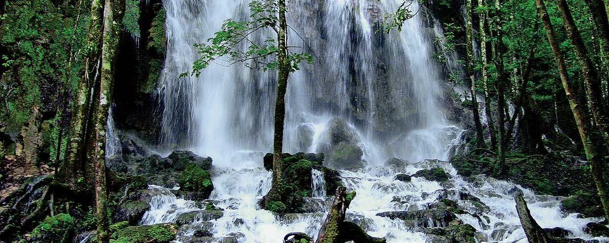 el-cielo-tamaulipas-portadant.jpg