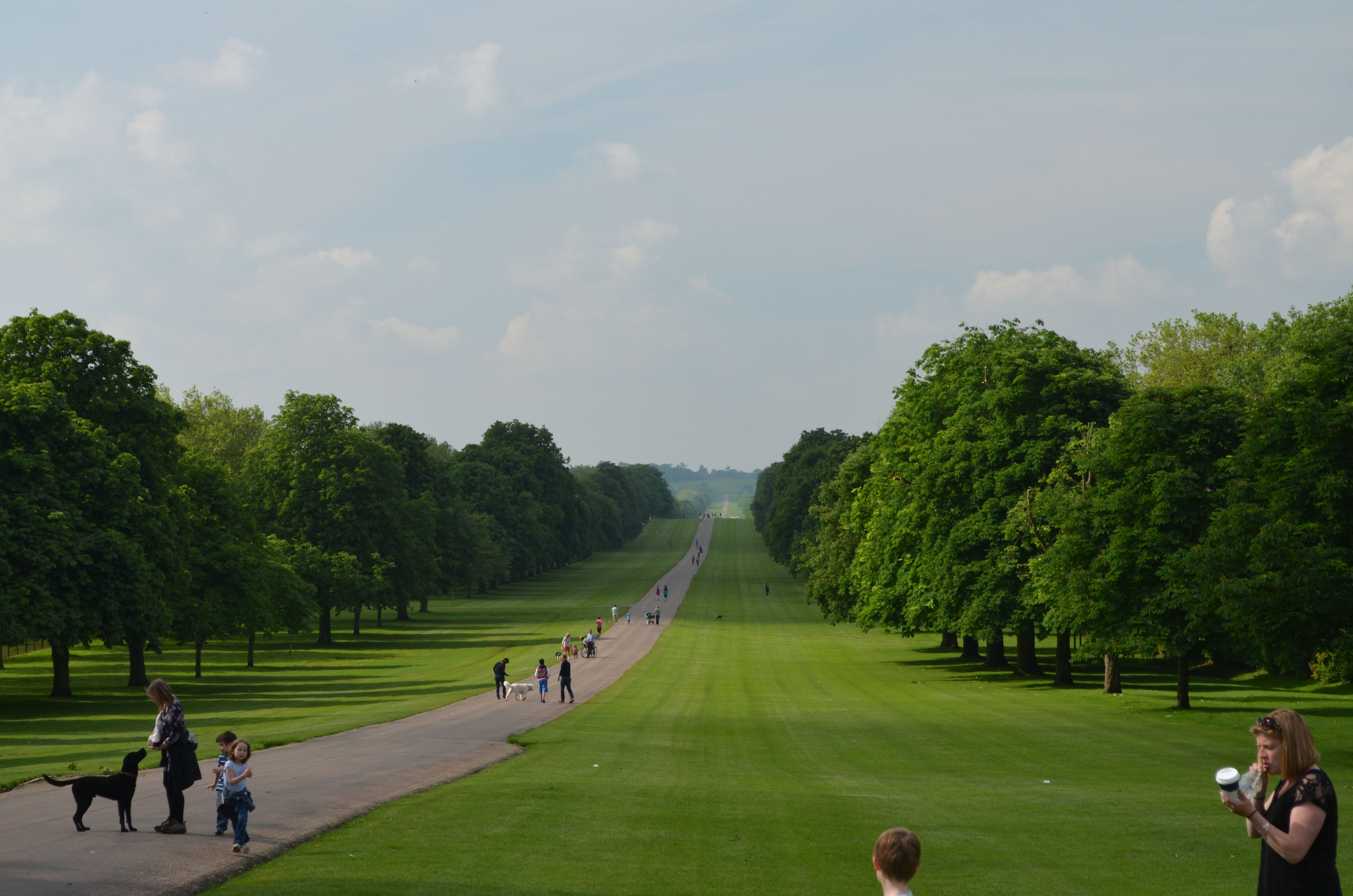 20140601_083211.JPG
