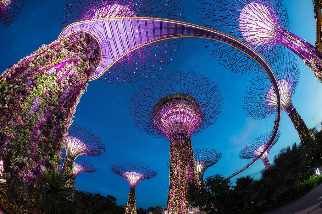 Visit places to singapore best 54 Best