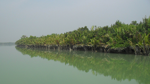 Meghna-Chandpur.jpg