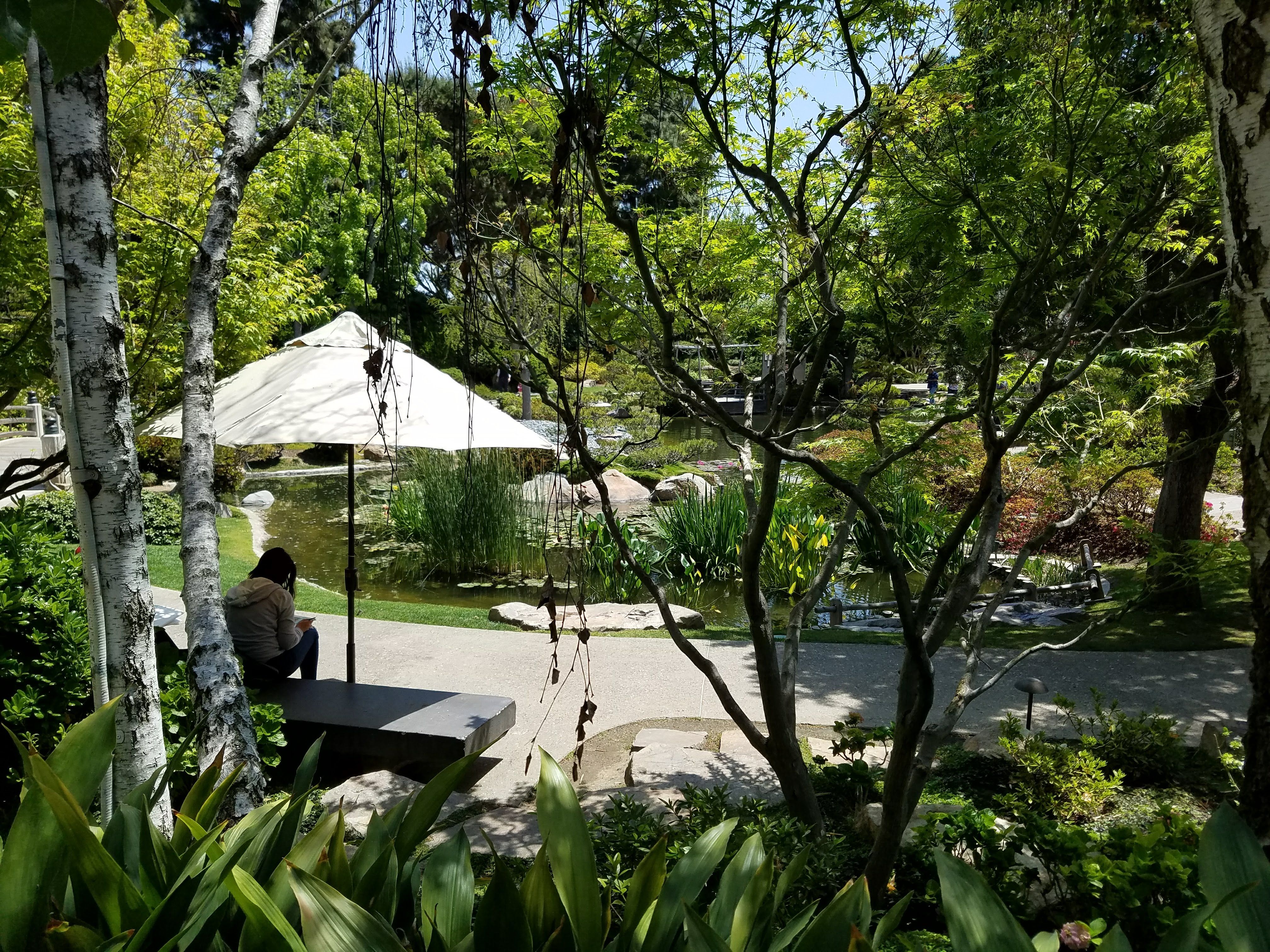 20180427_120422.jpg