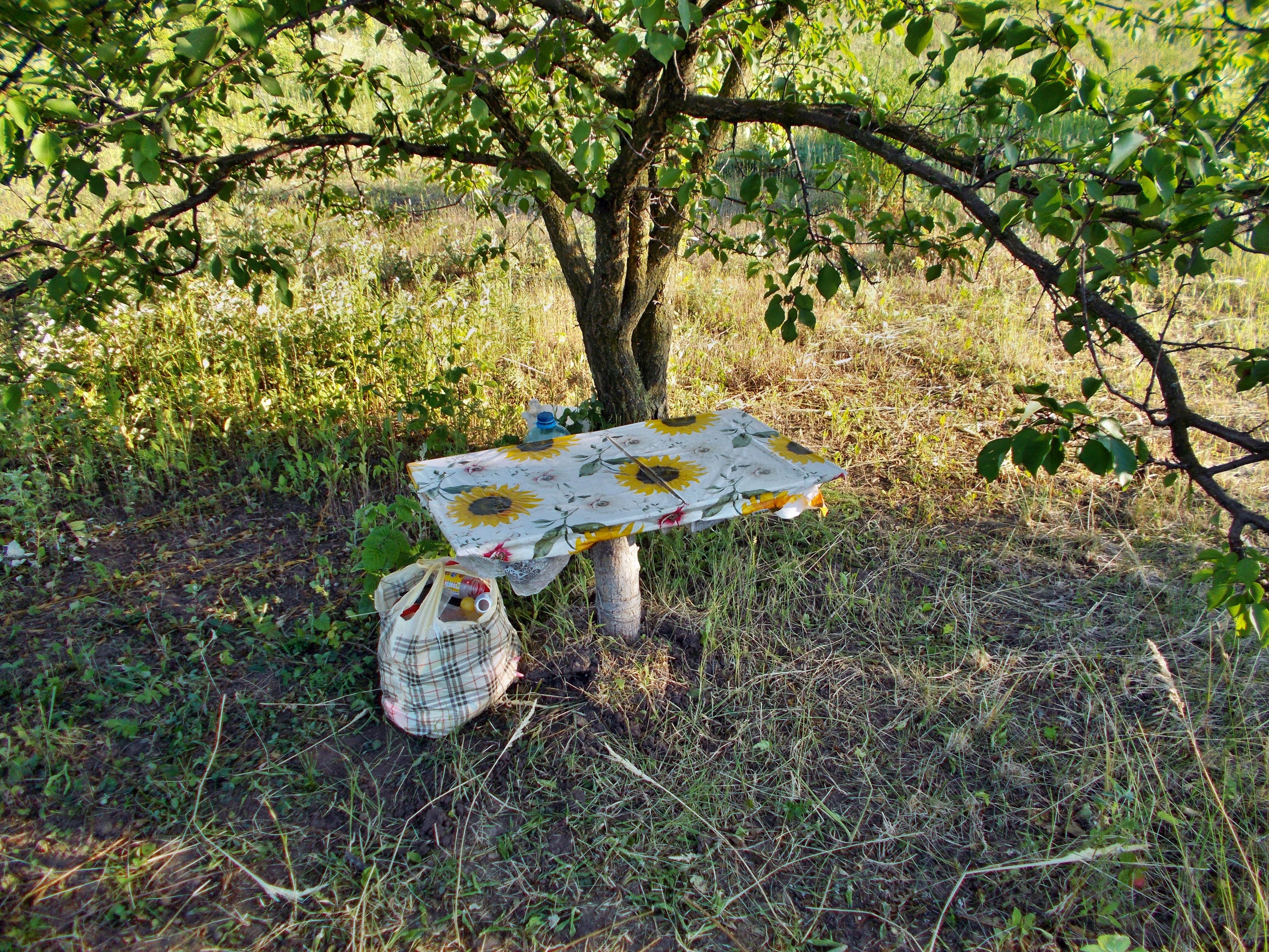 DSCN0945.JPG