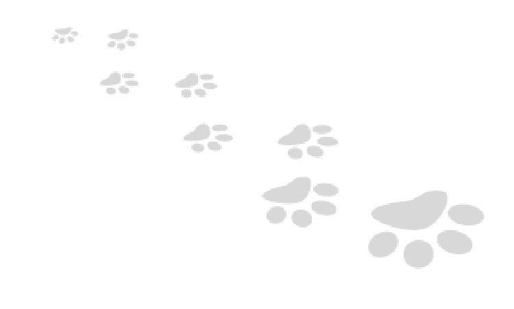 footprints.jpg