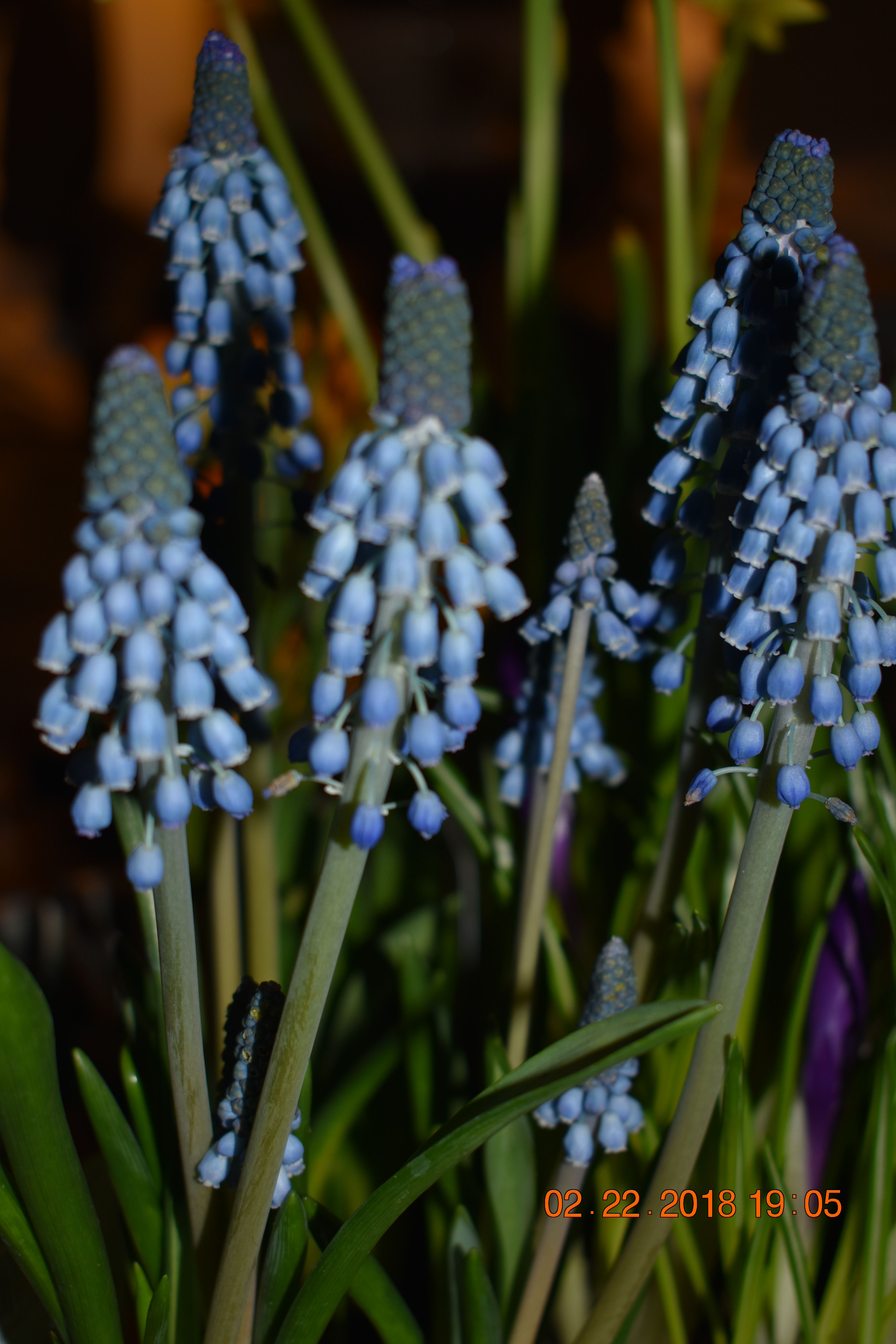 DSC_0562.JPG