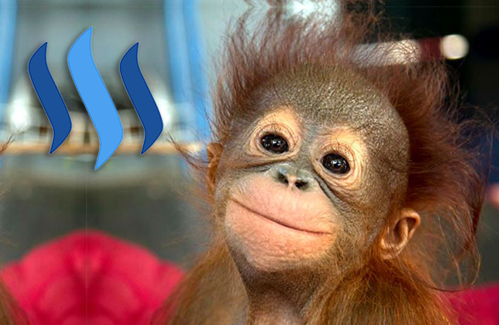 cutestlilsteemmonkey.png