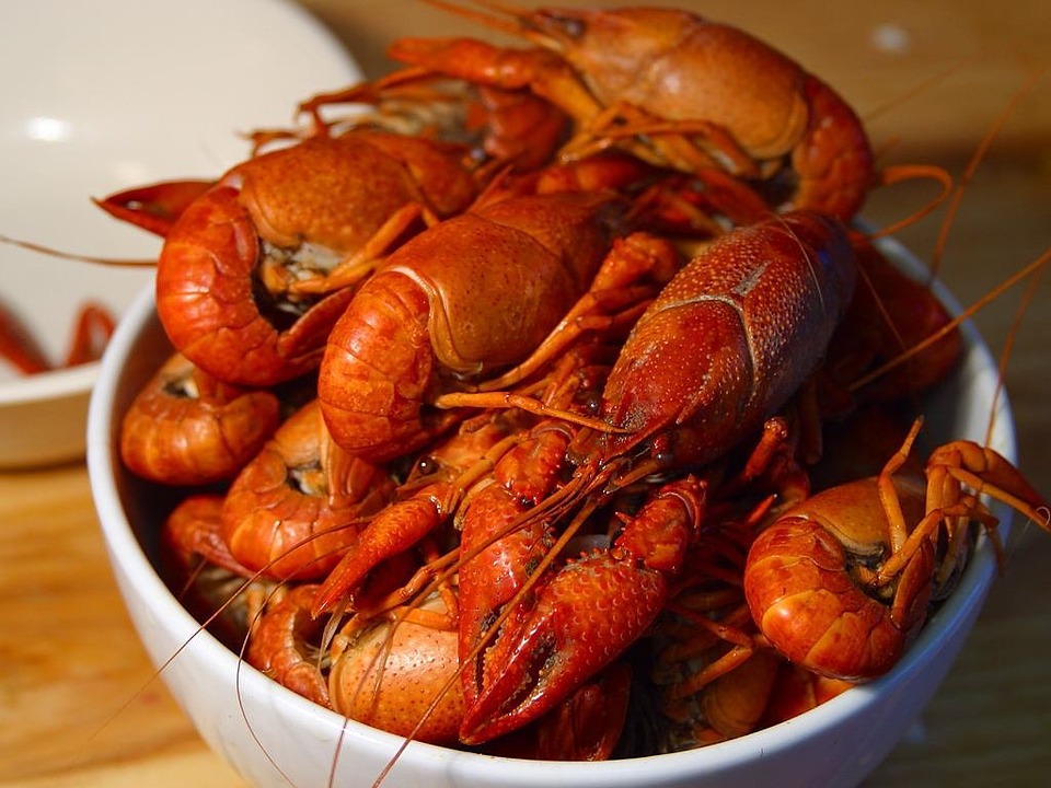 lobster-3453_960_720.jpg