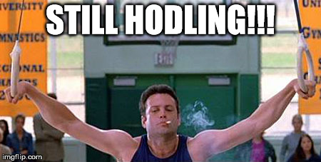 Still Hodling.jpg