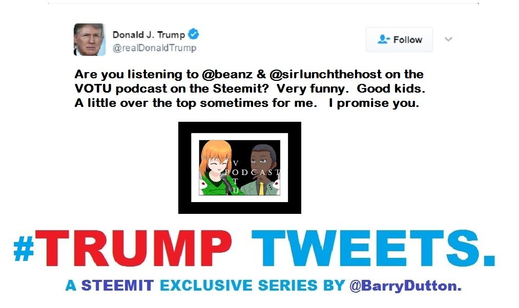 #5 - Donald tweets about the VOTU podcast.  Over the top for him..jpg