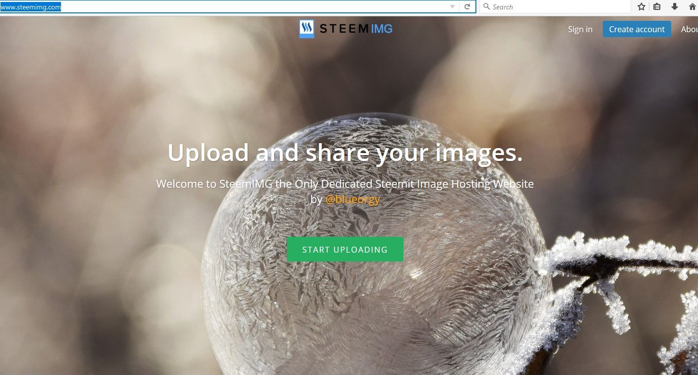 STEEM steemimg.com shot.jpg