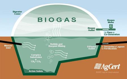 Earth Education International Blog_ Biodigester at El Yue.jpg