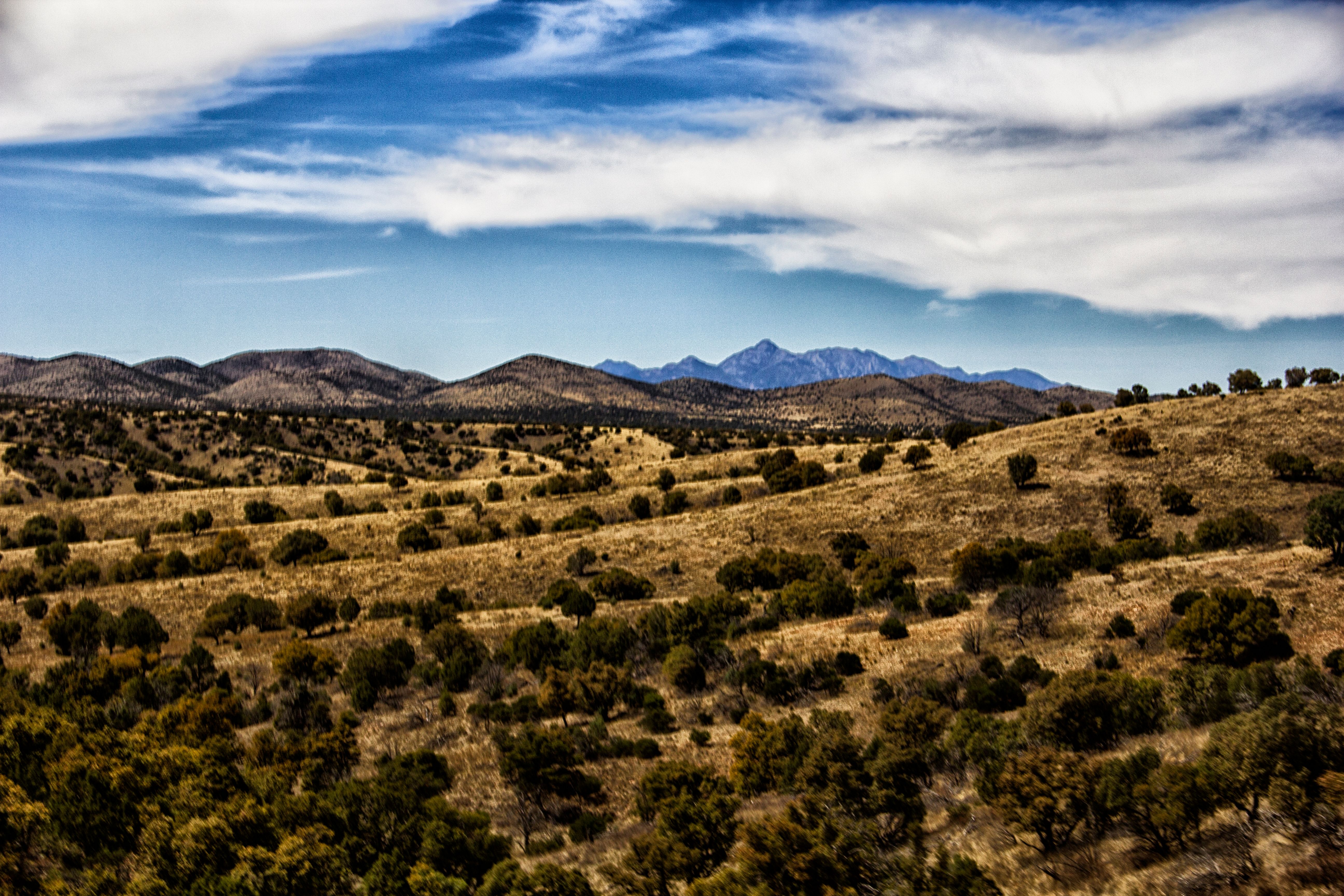 View_2.jpg