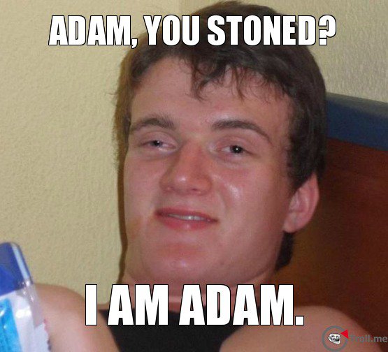 adam-you-stoned-i-am-adam.jpg