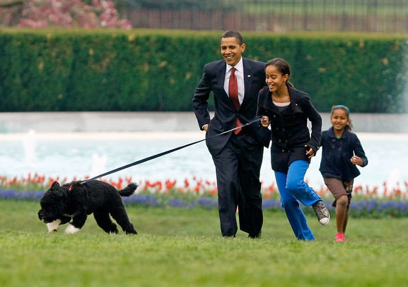 BO OBAMA DOG.jpg