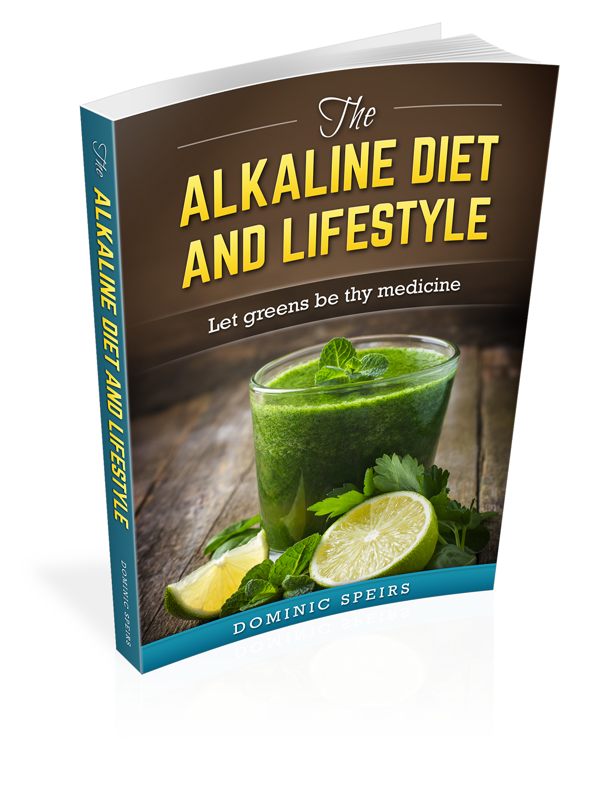 TheAlkalineDietAndLifestyle-3D.png