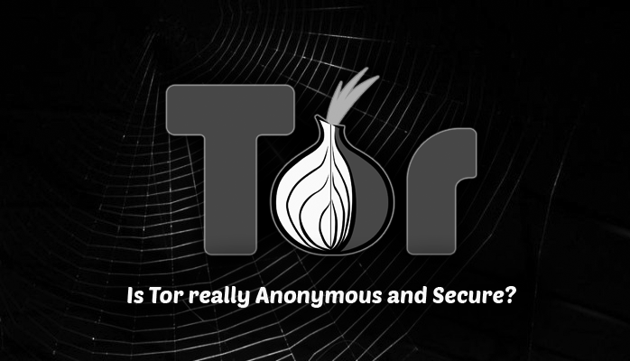tor browser for dark web