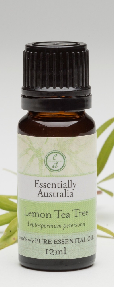 Lemon-Tea-Tree-and-leaves-Copy-400x1000.jpg