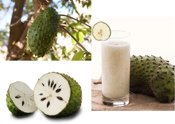 soursop cancer killer.jpg