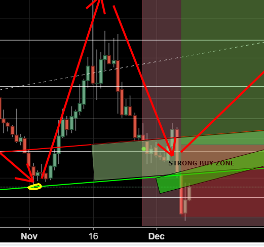 lisk winter3.PNG