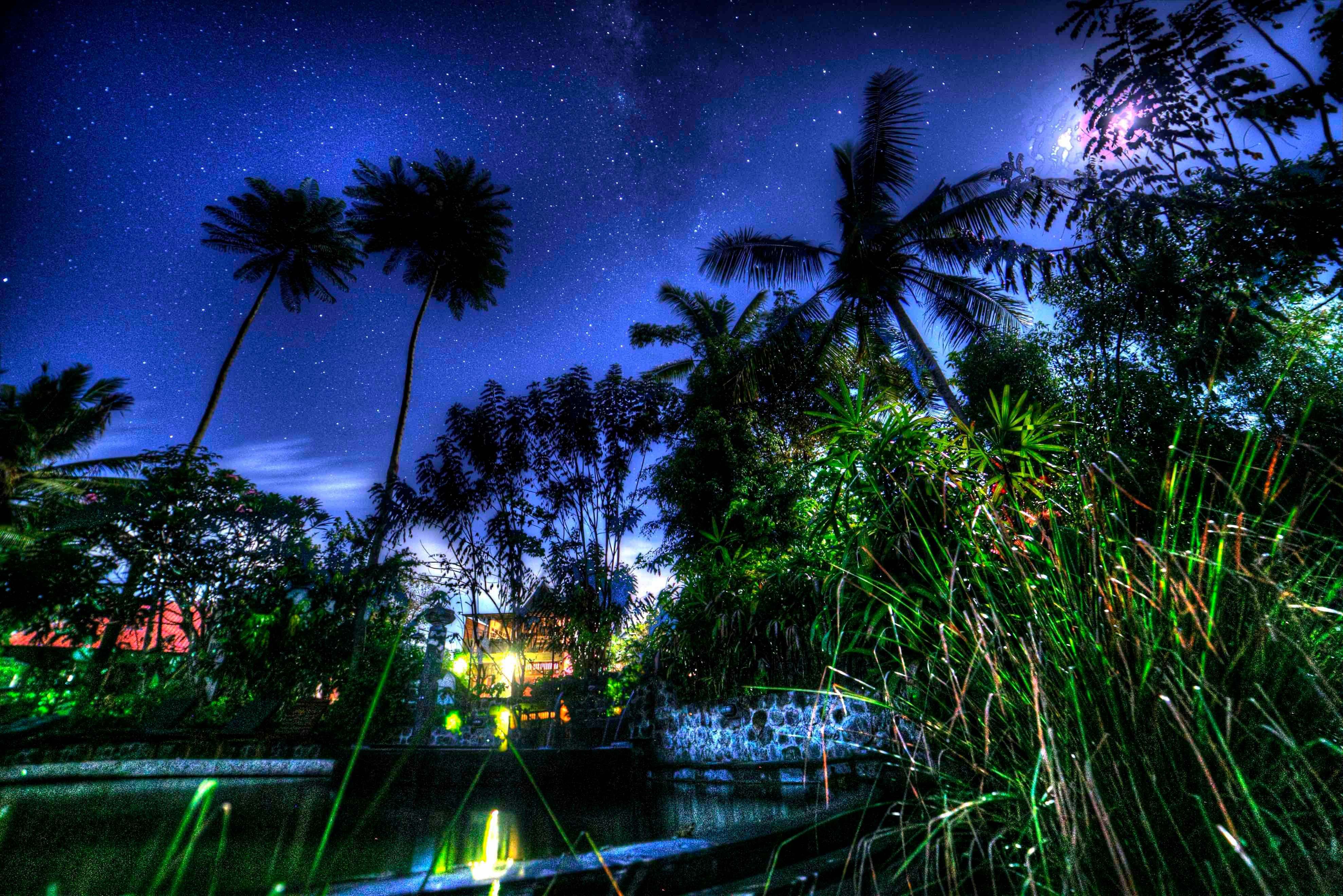 bio pool at night.jpg