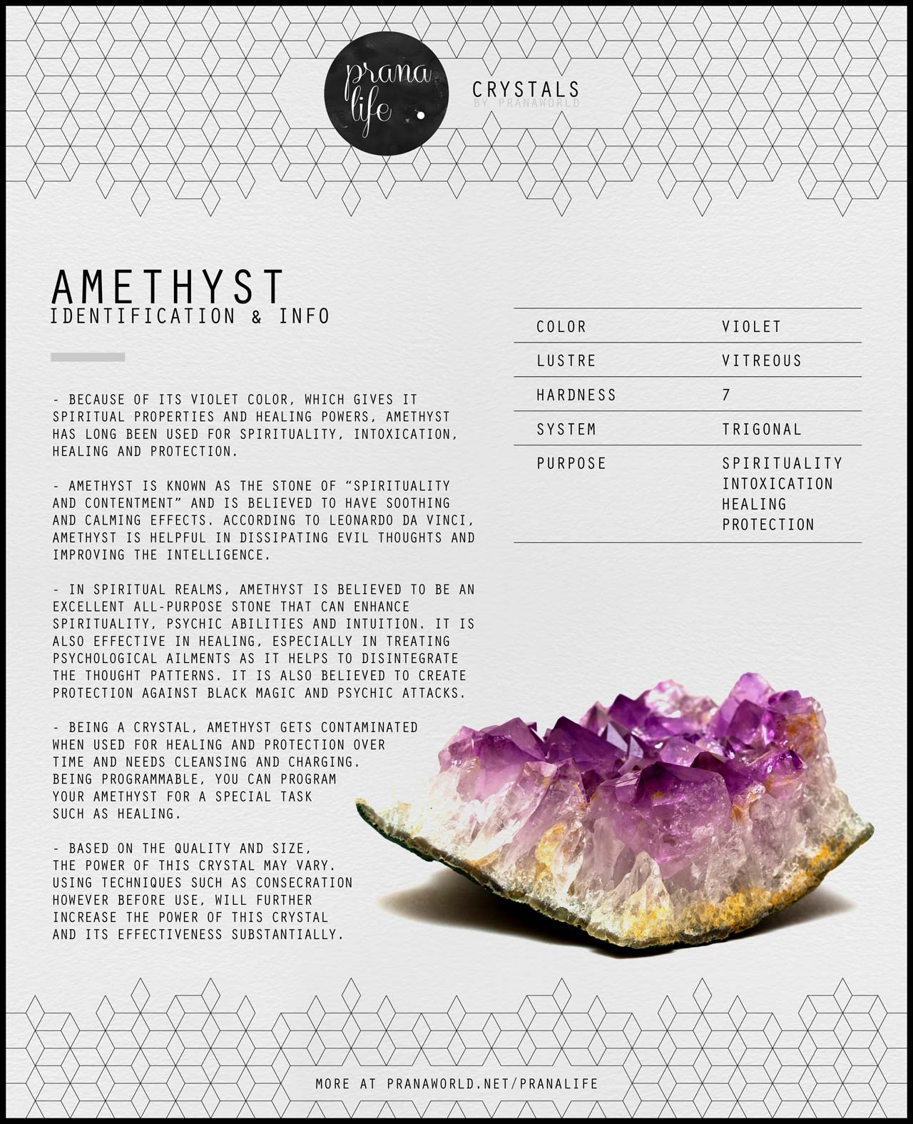 Amethyst-ID.jpg