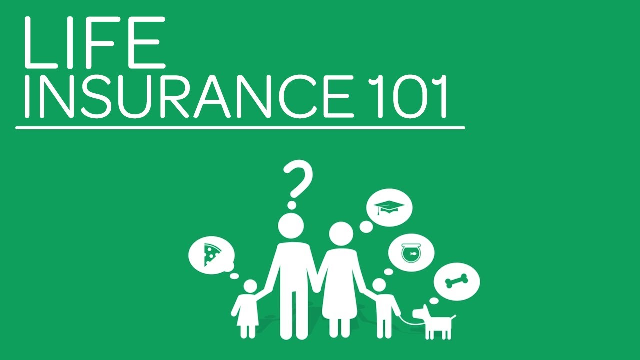 life insurance 101.jpg