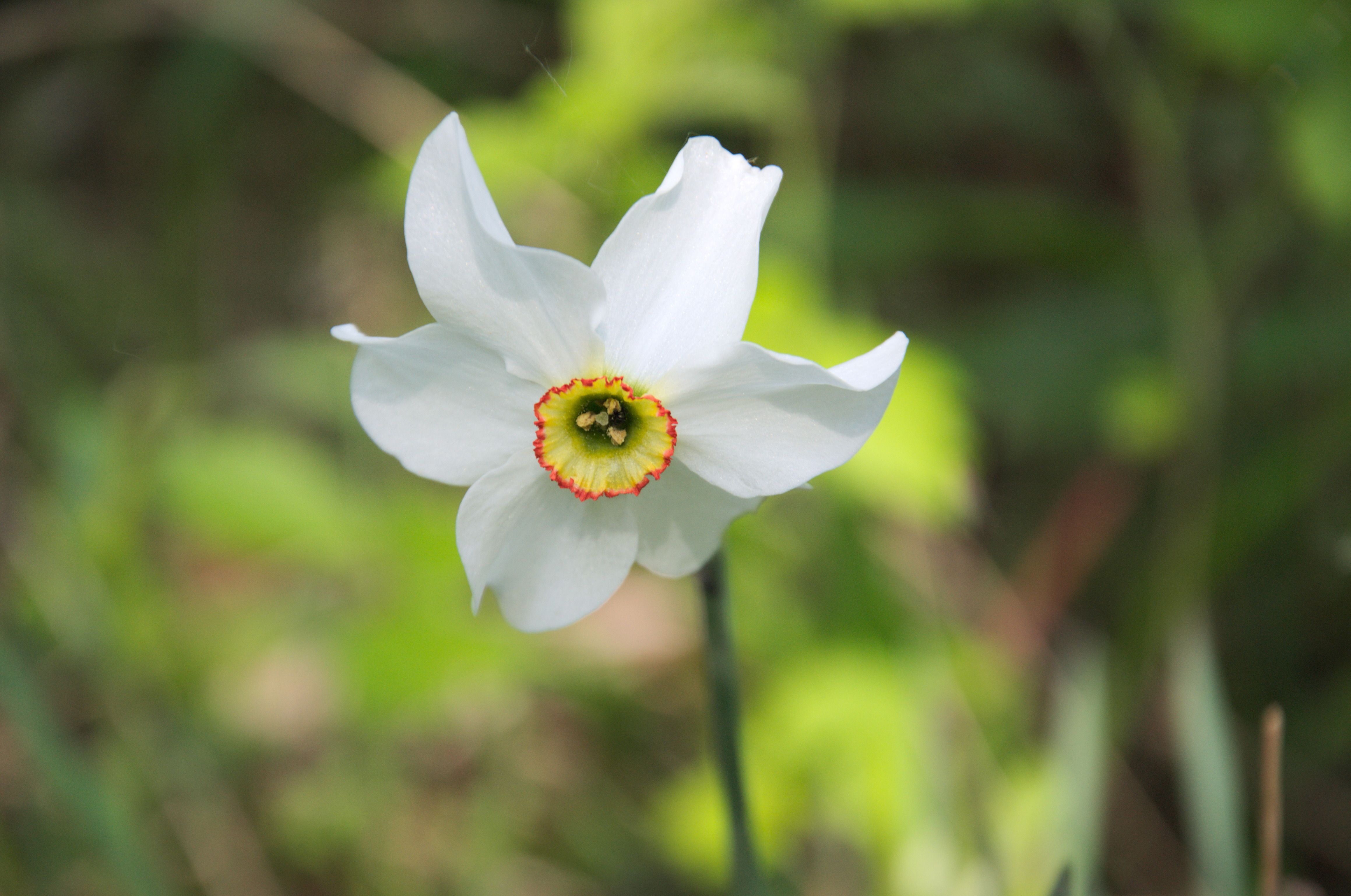 DSC_0299.jpg