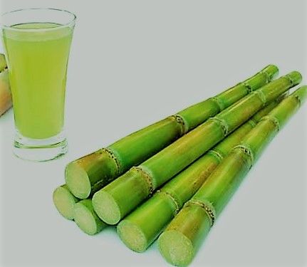 sugar-cane-juicefvvdv.jpg