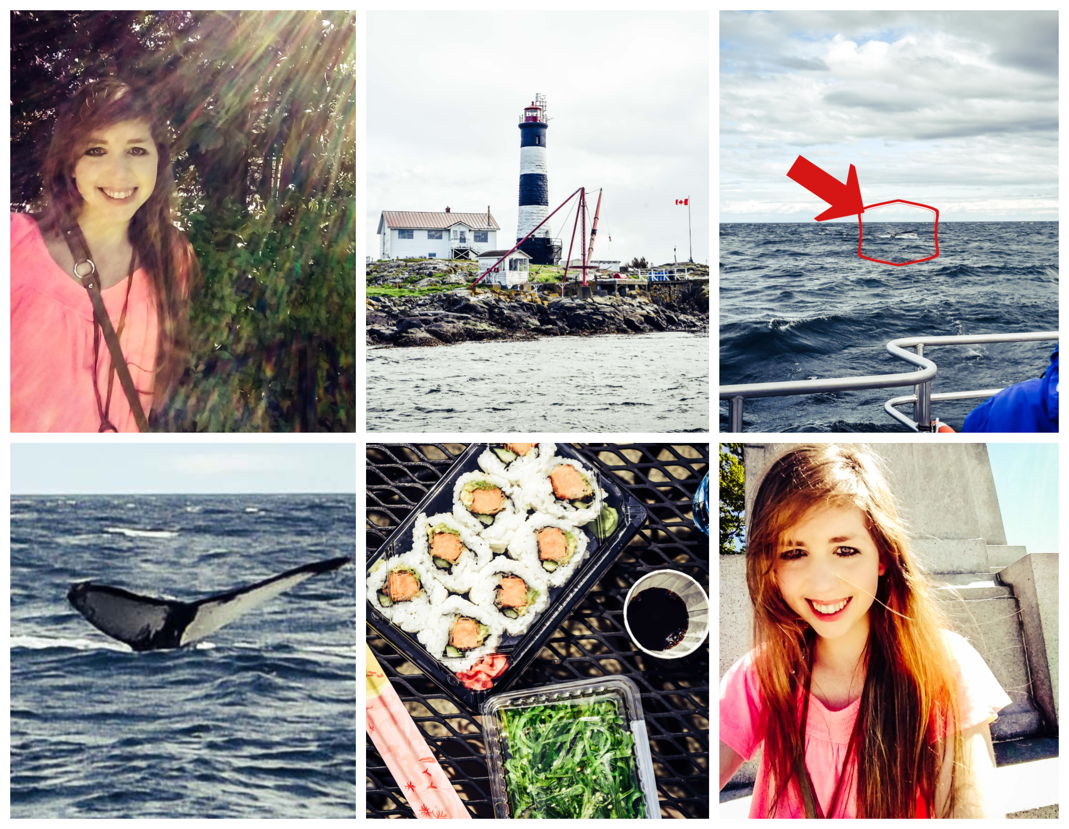 BeFunky-collage (3).png