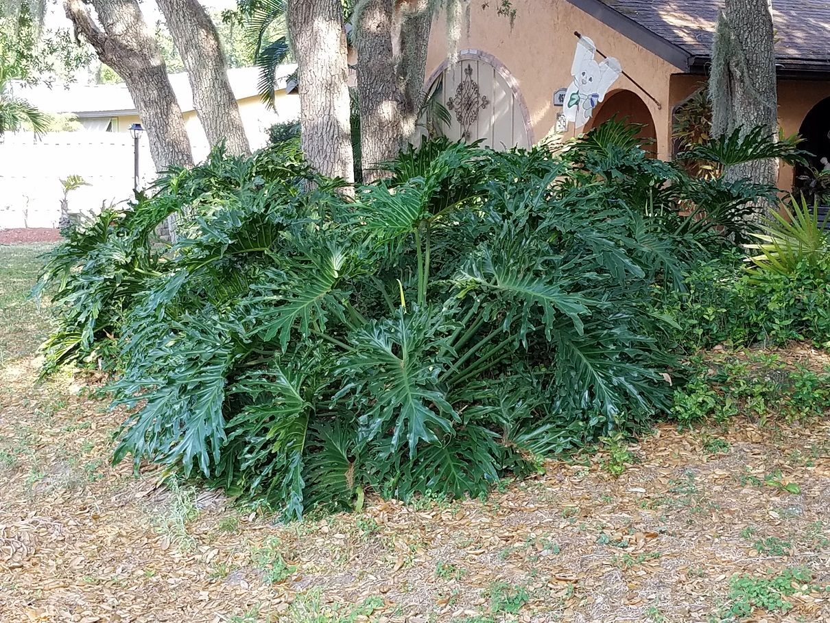 20180319_170937.jpg