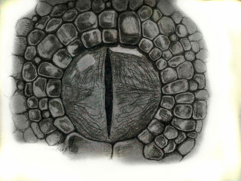 reptileeye0.jpg