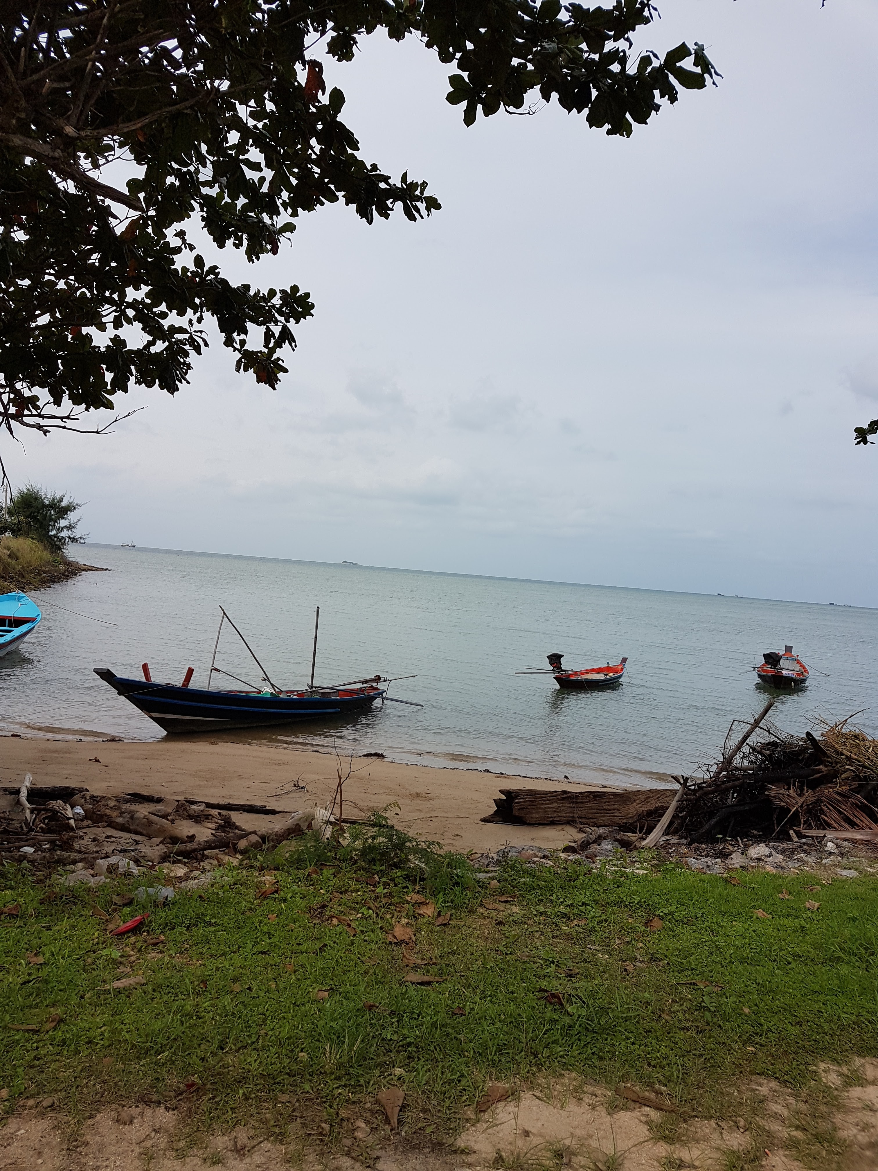 20171126_095648.jpg