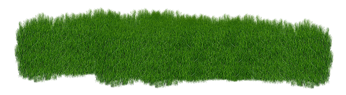 grass-2073071_960_720 copy.png