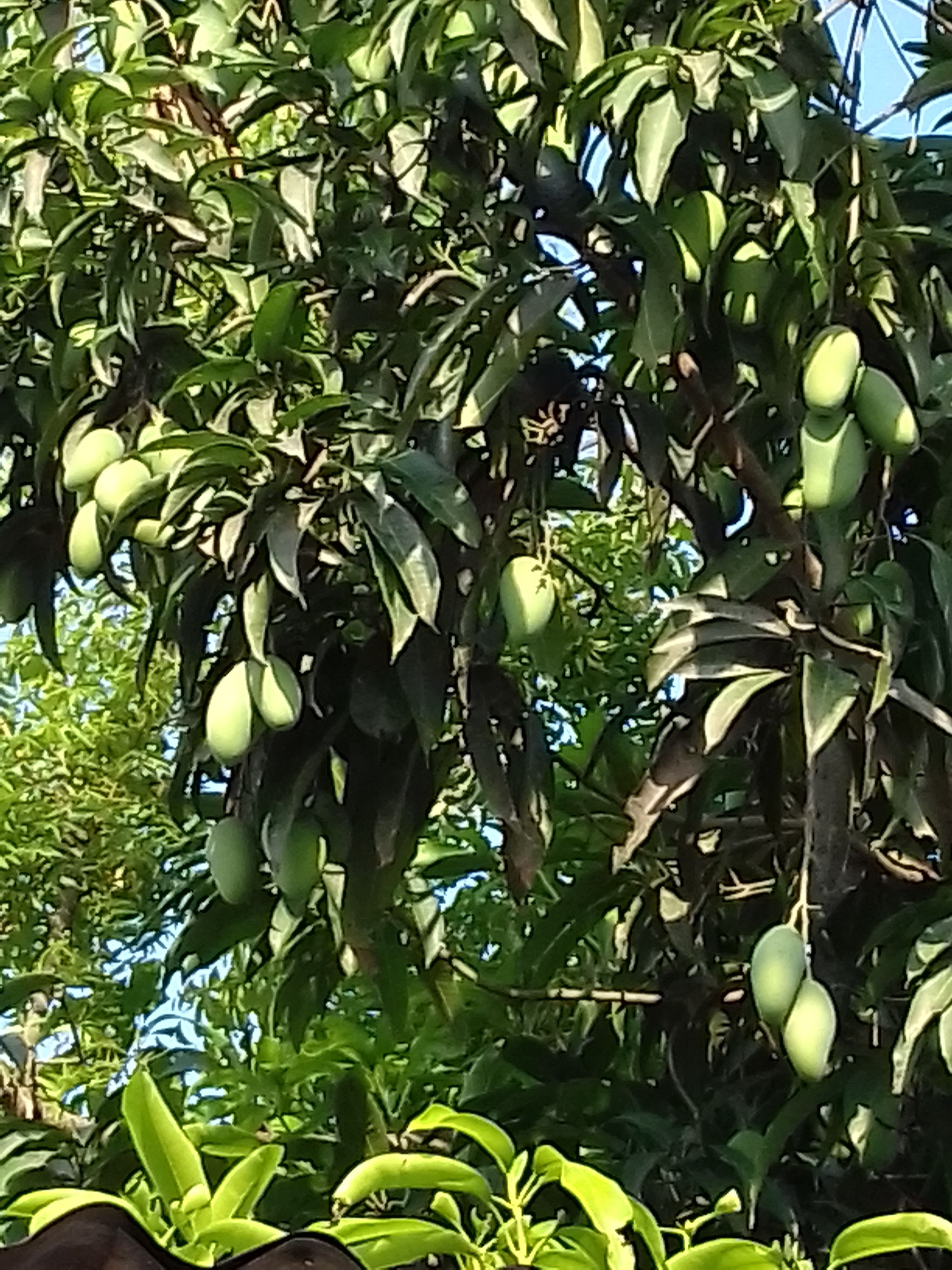 20180503_162420.jpg