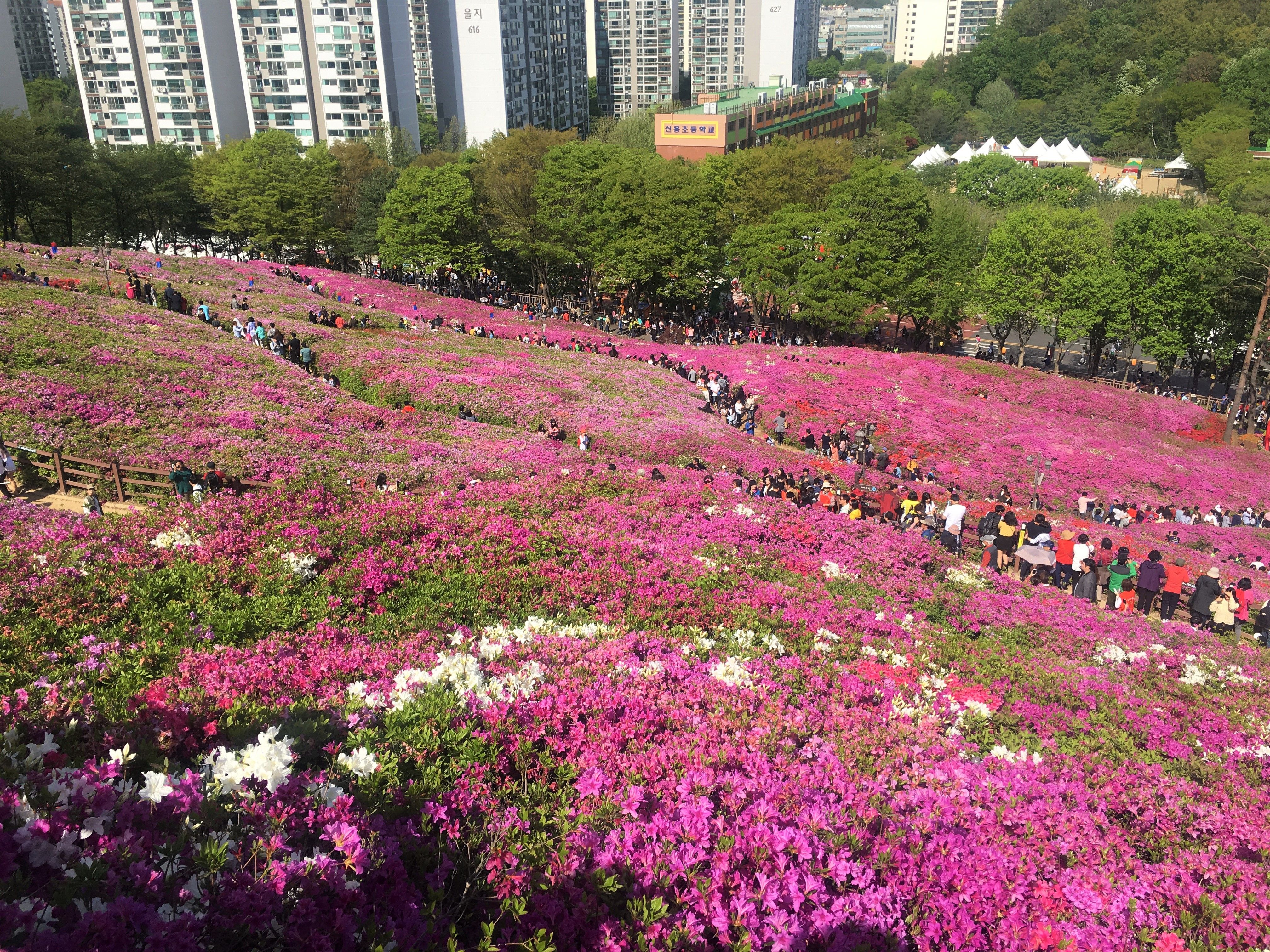 8좌측.jpg