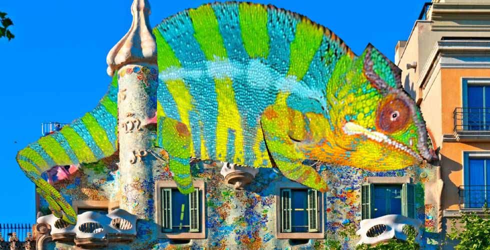 CASA BATLLO TOUR BARCELONA 11-carru2 copia.jpg