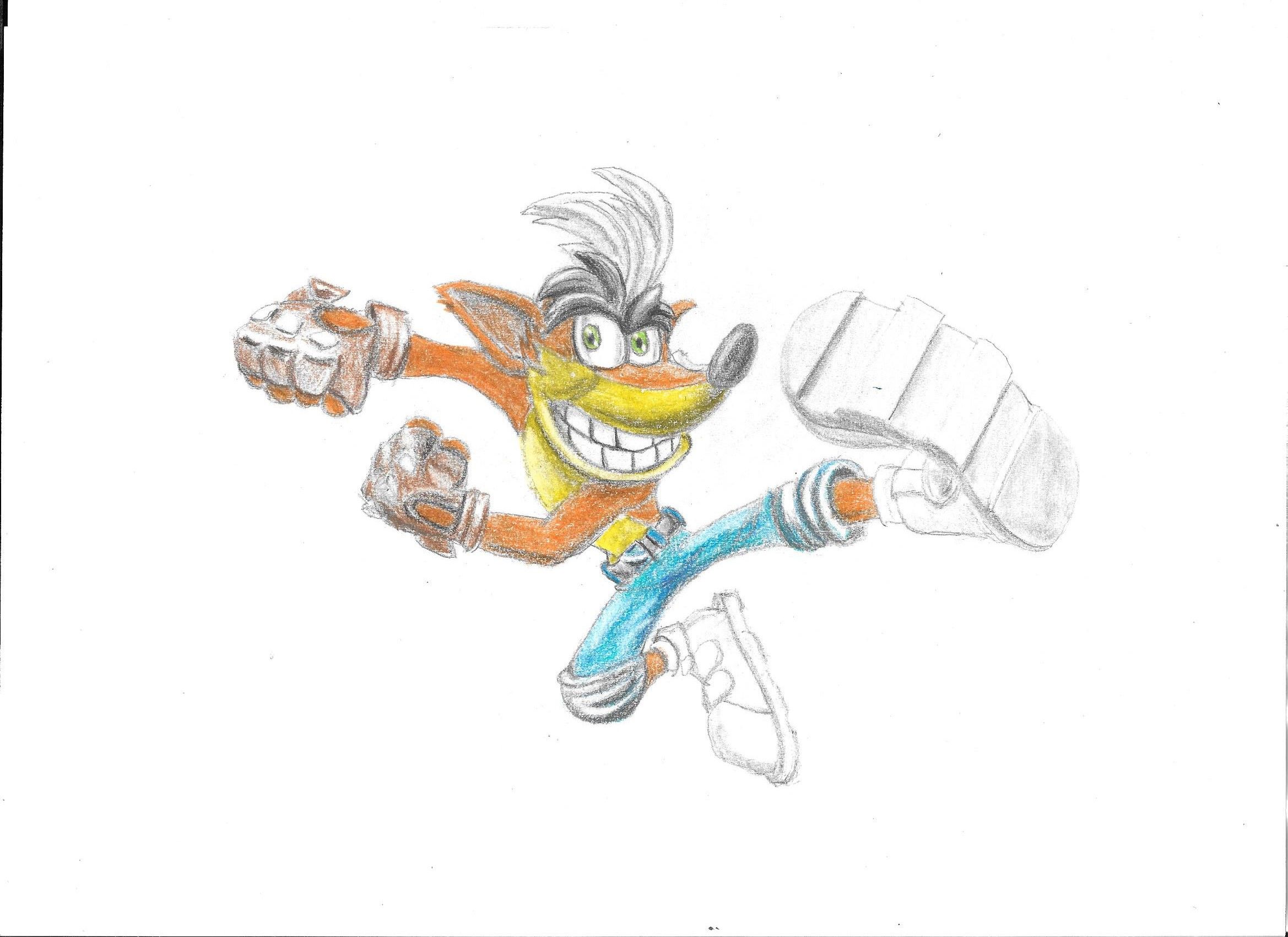 bandicoot5.jpg